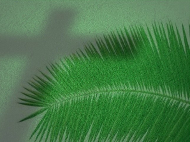 Palm Sunday Cross Shadow